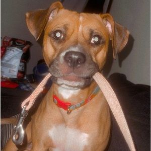 Meet your Posher, Matthew